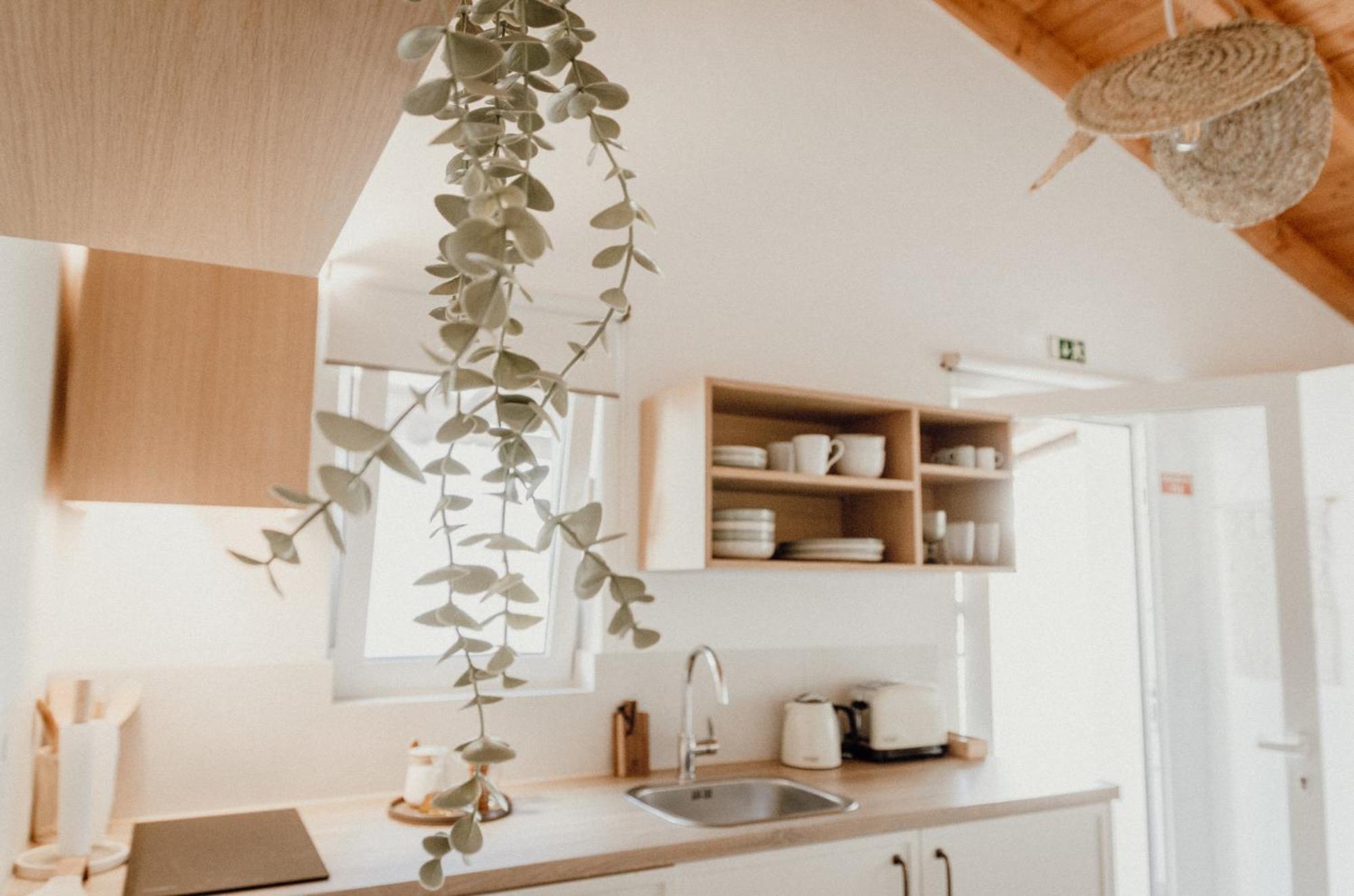 Slow House Green Villa São Brás de Alportel Exteriör bild